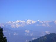 Anbaugebiet Darjeeling