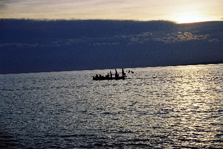 Teeanbau in Indonesien